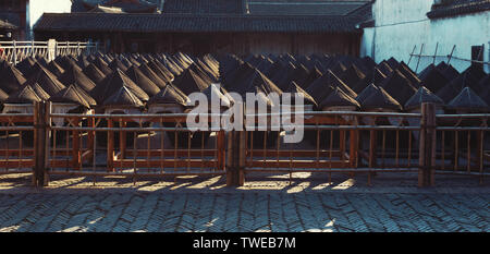 Chinesische Gärung Dosen Stockfoto