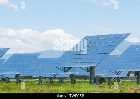 Solarmodul produziert Grün, umweltfreundliche Energie aus Stockfoto