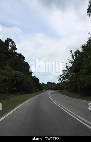 Bäume entlang einer Straße, Malaysia Stockfoto