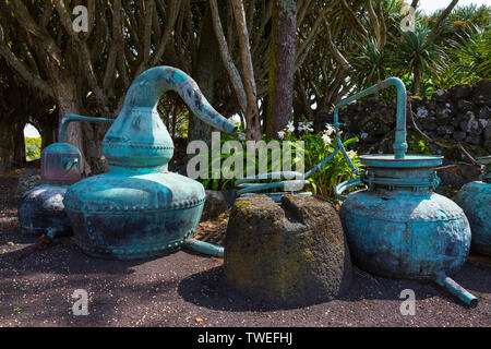 Weinmuseum, Madalena, Insel Pico, Azoren Archipel, Portugal, Europa Stockfoto