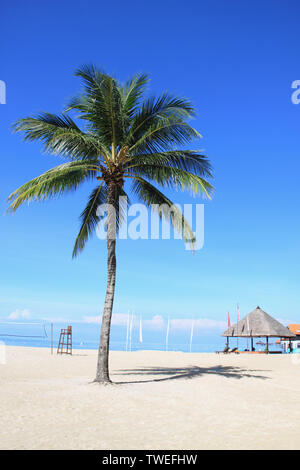 Palmen am Strand, Langkawi Island, Malaysia Stockfoto