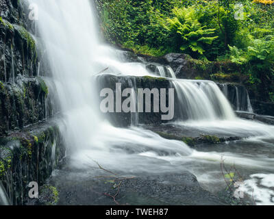 Lumsdale Falls sind entlang der Lumsdale Tal, nur einen kurzen Spaziergang von Matlock in Derbeyshire, am Rande des Peak District National Park. Stockfoto