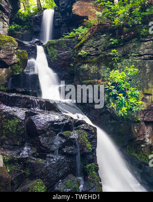 Lumsdale Falls sind entlang der Lumsdale Tal, nur einen kurzen Spaziergang von Matlock in Derbeyshire, am Rande des Peak District National Park. Stockfoto