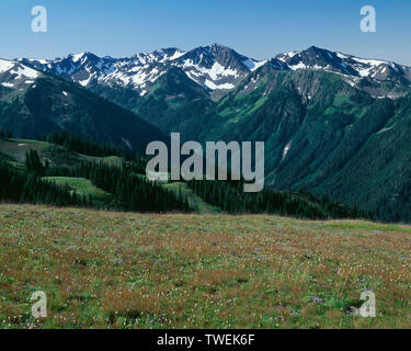 USA, Washington, Olympic National Park, Blick aus der Nähe von Behinderung Peak in Richtung Lillian River Valley und die umliegenden Gipfel der Olympic Mountains. Stockfoto