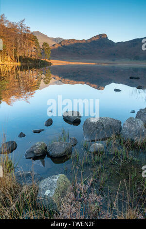 Atemberaubende Herbst leuchtenden Sonnenaufgang über blea Tarn im Lake District mit hohem Anheben und The Langdales in der Ferne Stockfoto