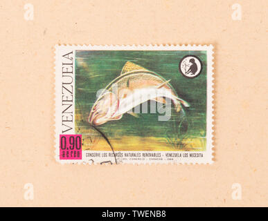 VENEZUELA - ca. 1968: einen Stempel in Venezuela gedruckt zeigt einen großen Fisch, ca. 1968 Stockfoto