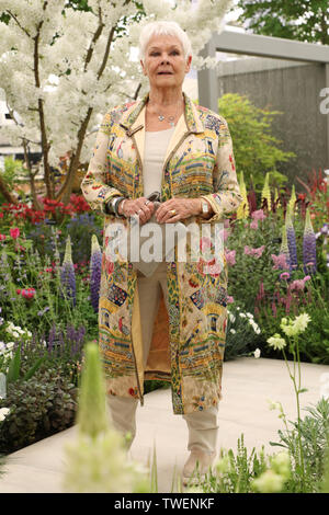 Die Chelsea Flower Show - Ankunft mit: Judi Dench Wo: London, Großbritannien Wann: 20. Mai 2019 Credit: Lia Toby/WENN.com Stockfoto