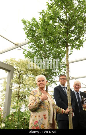 Die Chelsea Flower Show - Ankunft mit: Judi Dench Wo: London, Großbritannien Wann: 20. Mai 2019 Credit: Lia Toby/WENN.com Stockfoto