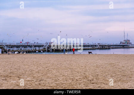 Sopot, Polen - Februar 06, 2019: Den Sopot Pier ist der längste Holzsteg Europas. Menschen gehen und füttern die Schwäne am Strand von Sopot, Polen Stockfoto