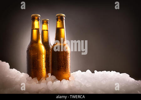 Drei volle Bierflaschen auf Crushed Ice und dunklen Hintergrund Farbverlauf. Horizontale Komposition. Vorderansicht. Stockfoto