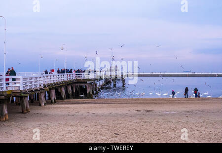 Sopot, Polen - Februar 06, 2019: Den Sopot Pier ist der längste Holzsteg Europas. Menschen gehen und füttern die Schwäne am Strand von Sopot, Polen Stockfoto