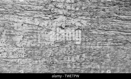 Hintergrundbild für Grafiken Ressourcen in Grautönen Stockfoto