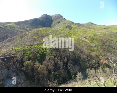 Outeniqua Mountains Stockfoto