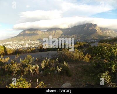 Tafelberg, Kapstadt Stockfoto