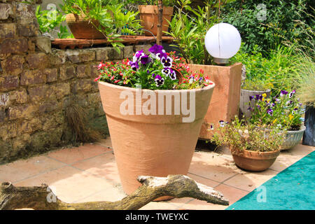 Blick auf den Tontopf mit kleinen Birken und Stiefmütterchen Blumen auf der Terrasse der deutschen Garten mit verwitterten alten Ziegel wand hintergrund in hellen Sommer Sonne l Stockfoto