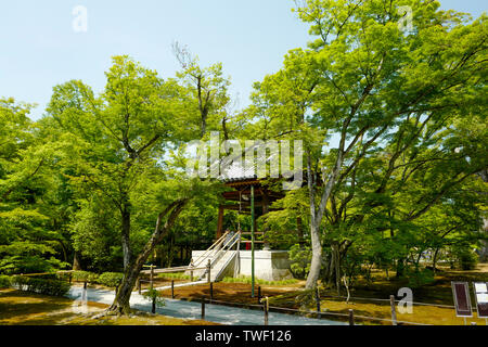 Kyoto, Japan, 30., Mai, 2017. Die Ansicht der Kinkaku-ji, der ebenfalls den Namen Tempel des Goldenen Pavillon, offiziell genannten Rokuon-ji. Stockfoto