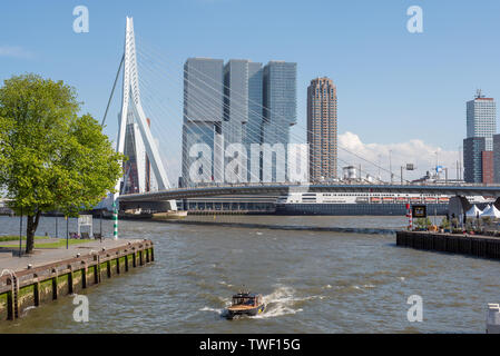 Rotterdam, Niederlande - 11. Mai 2019: Blick auf die Skyline von der Neuen Maas Grenzen mit Erasmus Brücke und De Rotterdam Gebäude im Hintergrund an einem klaren Tag Stockfoto