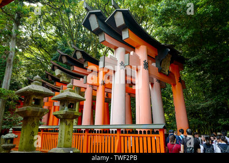 Kyoto, Japan, 31., Mai, 2017. Ein torii Pfad über den Berg von der Seite. Fushimi Inari Taisha ist der Kopf, der Schrein des kami Inari. Stockfoto