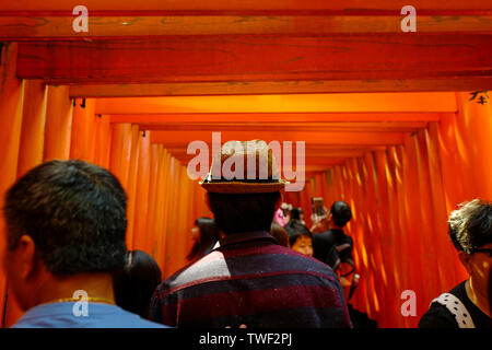 Kyoto, Japan, 31., Mai, 2017. Torii, die zu den äußeren Schrein. Fushimi Inari Taisha ist der Kopf, der Schrein des kami Inari, in Fushimi-ku Stockfoto