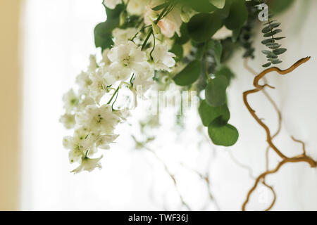 Dekoration der Bankettsaal, Photo Zone und Hochzeit Bogen mit Eukalyptus Blätter, Hortensien und eustoma in den Hochzeitssaal. Goldene Zweige. Weddin Stockfoto