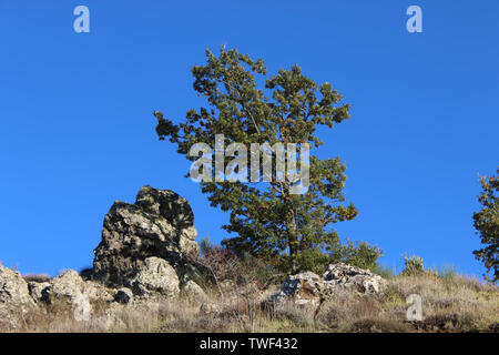 Beautifil Bergwelt des Nationalpark Pollino, eine große Naturpark in der Basilicata und Kalabrien, italienische Regionen Stockfoto