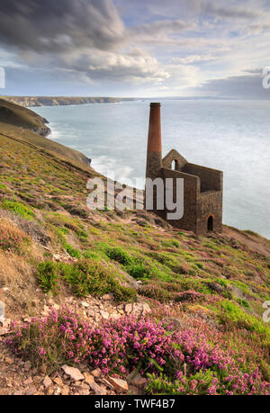 Die Towanroath Pumpen Motor Haus Wheal Coates. Stockfoto