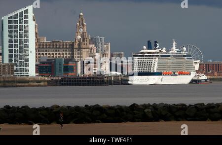 Kreuzfahrtschiffe auf den Fluss Mersey credit Ian Fairbrother/Alamy Stockfotos Stockfoto