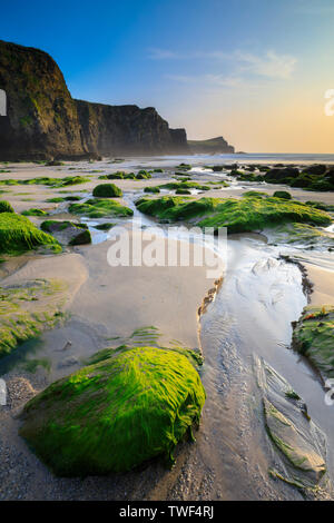 Ein Stream auf whipsiderry Strand. Stockfoto