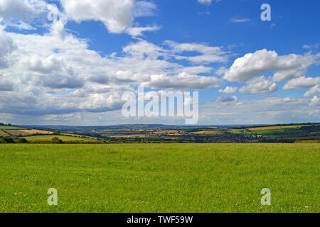 Ansicht der ländlichen Oxfordshire vom Plateau, wo der König Stein steht. Rollright Stones, große Rollright, Chipping Norton, Oxfordshire, UK Stockfoto