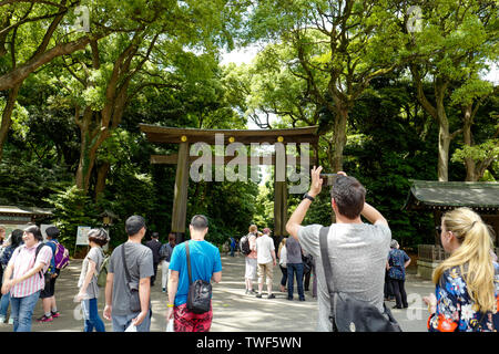 Tokio, Japan, 2 rd, Juni, 2017. Torii zur Meiji Schrein Komplex, in Shibuya, Tokio Stockfoto