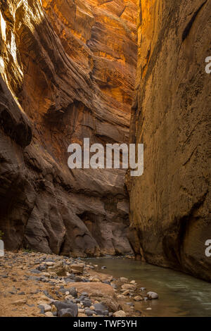 Die Virgin River schlängelt sich durch die spektakuläre und atemberaubende verengt, Zion National Park, USA, niemand im Bild Stockfoto