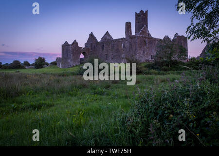 Die Ruinen der mittelalterlichen Abtei Quinn Quinn, Irland gegen eine lila Sonnenuntergang Himmel, Schuß durch einen Baum auf einem Feld. Stockfoto