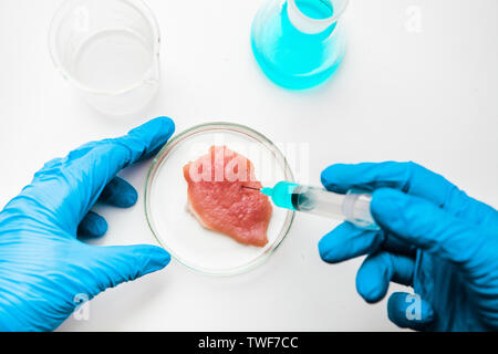 Laboruntersuchungen von Fleisch in der Petrischale. Blick von oben. Chemischen Experiment. Stockfoto