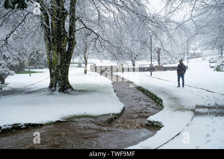 Starker Schneefall in Trenance Park in Newquay in Cornwall. Stockfoto