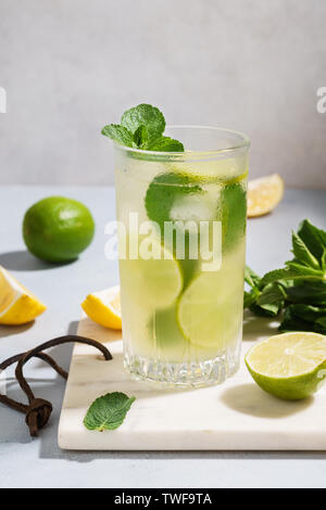 Detox Wasser hineingegossen mit in Scheiben geschnittenen Zitrone, Limette und Minze. Gesundes Getränk Konzept. Stockfoto