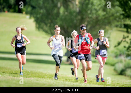 Läufer an Chris Evan's Run Fest laufen bei Bowood Haus in der Nähe von Chippenham GROSSBRITANNIEN Stockfoto