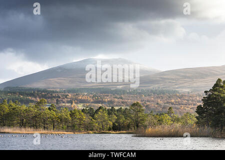 Loch Garten und die Mahlzeit ein "Bhuachaille im Cairngorms Nationalpark von Schottland. Stockfoto