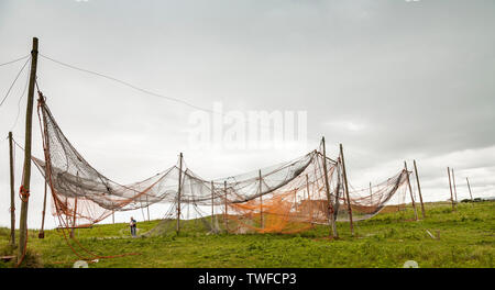 Lachs Fischer Netze im St Cyrus in Schottland. Stockfoto
