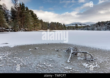 Uath Lochan im Winter am Glen Feshie im Cairngorms National Park. Stockfoto