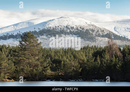 Sgor Gaoithe Berg in Glen Feshie in der Cairngorms National Park of Scotland. Stockfoto