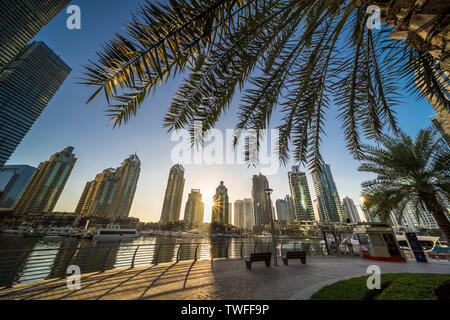 Die Sonne bricht durch Wolkenkratzer und füllt die Dubai Marina mit goldenen Morgenlicht. Stockfoto