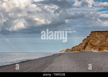Weybourne Klippen in der Abendsonne Stockfoto