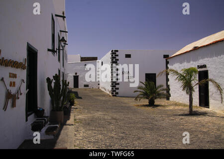 TEGUISE, LANZAROTE - juin 2013 3. 2019: Blick auf die Straße mit Bäumen und weißen hellen Häuser Stockfoto