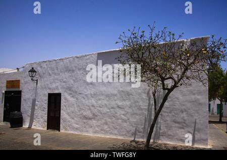 TEGUISE, LANZAROTE - juin 2013 3. 2019: Blick auf weiße Fassade des traditionellen Haus mit isolierten Baum gegen den blauen Himmel Stockfoto