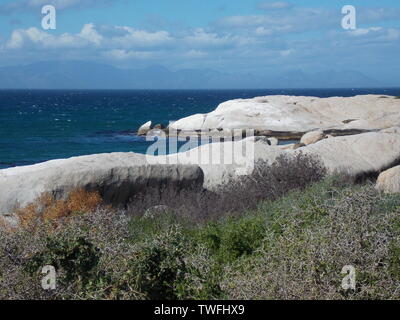 Boulders Beach Pinguine, Südafrika Stockfoto