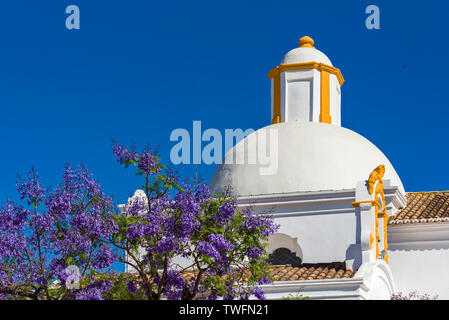 Ermida De São Sebastião und ein Jacaranda mimosifolia in Tavira, Algarve, Portugal Stockfoto