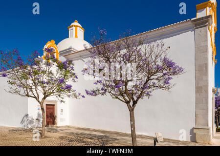 Ermida De São Sebastião und ein Jacaranda mimosifolia in Tavira, Algarve, Portugal Stockfoto