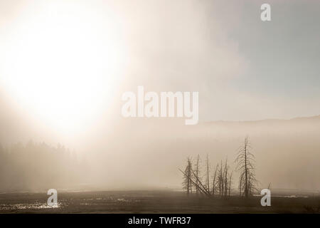 Sonnenaufgang über dem Nebel auf verschlungenen Creek von Firehole Lake Drive, Yellowstone National Park, Stockfoto