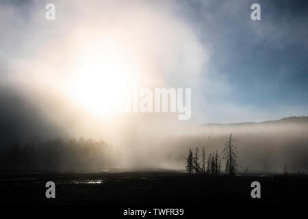 Sonnenaufgang über dem Nebel auf verschlungenen Creek von Firehole Lake Drive, Yellowstone National Park, Stockfoto