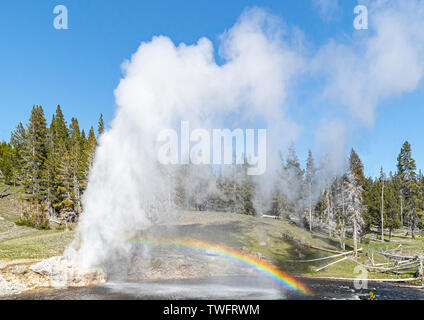 Riverside Geysir bricht mit den Firehole River im Vordergrund, die die Classic Rainbow Stockfoto